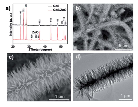 圖1：（a）CdS納米帶與CdS/ZnO樹枝狀異質(zhì)結(jié)的XRD峰對比。（b）低倍數(shù)SEM下觀測到的CdS/ZnO樹枝狀異質(zhì)結(jié)。（c）（d）分別對應(yīng)SEM和TEM下觀測到的CdS/ZnO樹枝狀異質(zhì)結(jié)。