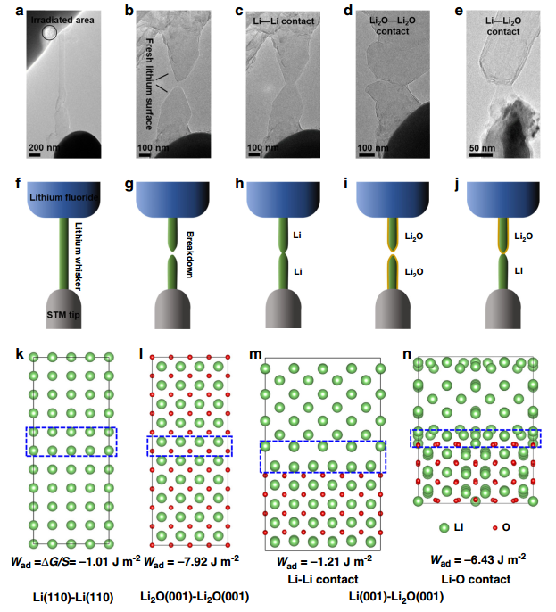 原位TEM電學(xué)樣品桿觀測鋰支晶形成、拉斷過程