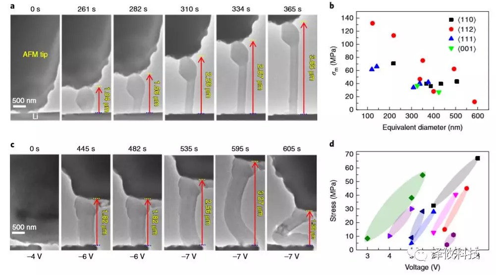鋰晶須生長(zhǎng)的原位AFM-ETEM成像以及在施加電壓下同時(shí)測(cè)量鋰晶須的應(yīng)力變化。