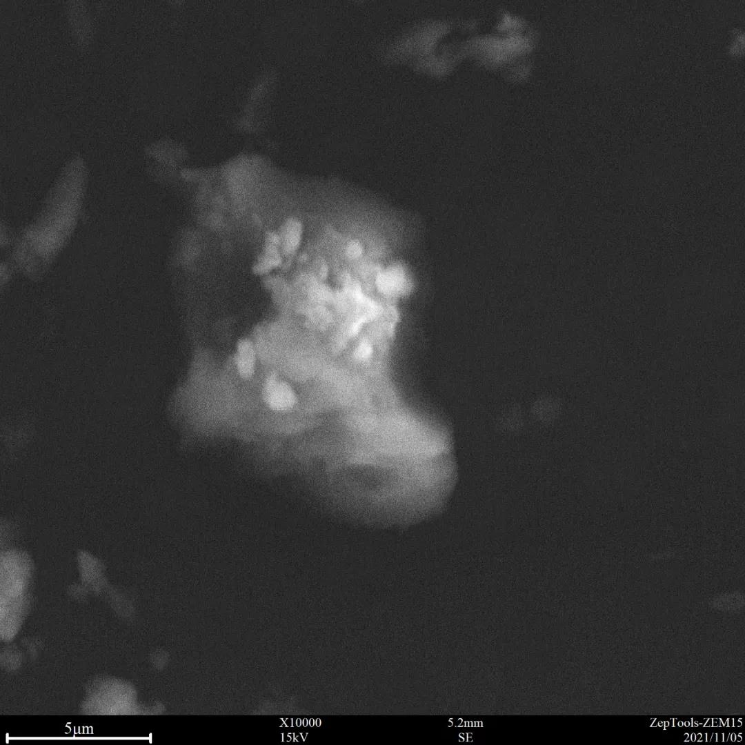 15 kV常規(guī)模式拍攝的藥粉表面 15 kV常規(guī)模式拍攝的藥粉表面