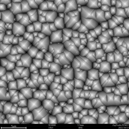 樣品噴金后ZEM15臺式掃描電鏡成像2.png 樣品噴金后ZEM15臺式掃描電鏡成像2.png