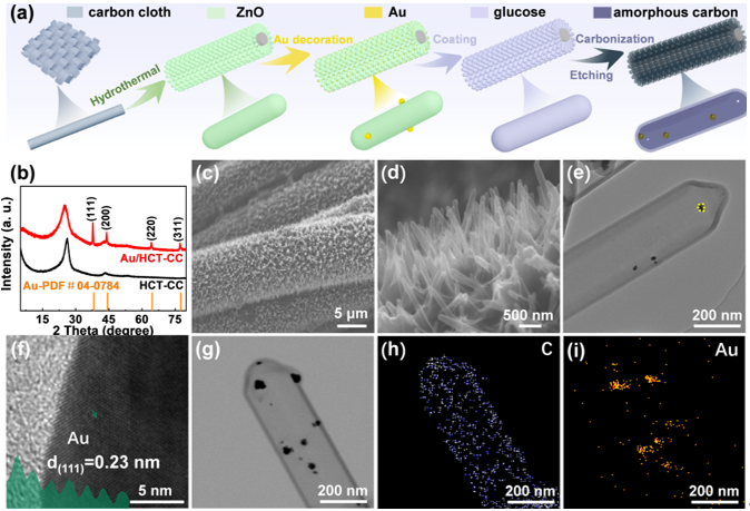 Au/HCT-CC的制備流程圖和SEM、TEM形貌表征