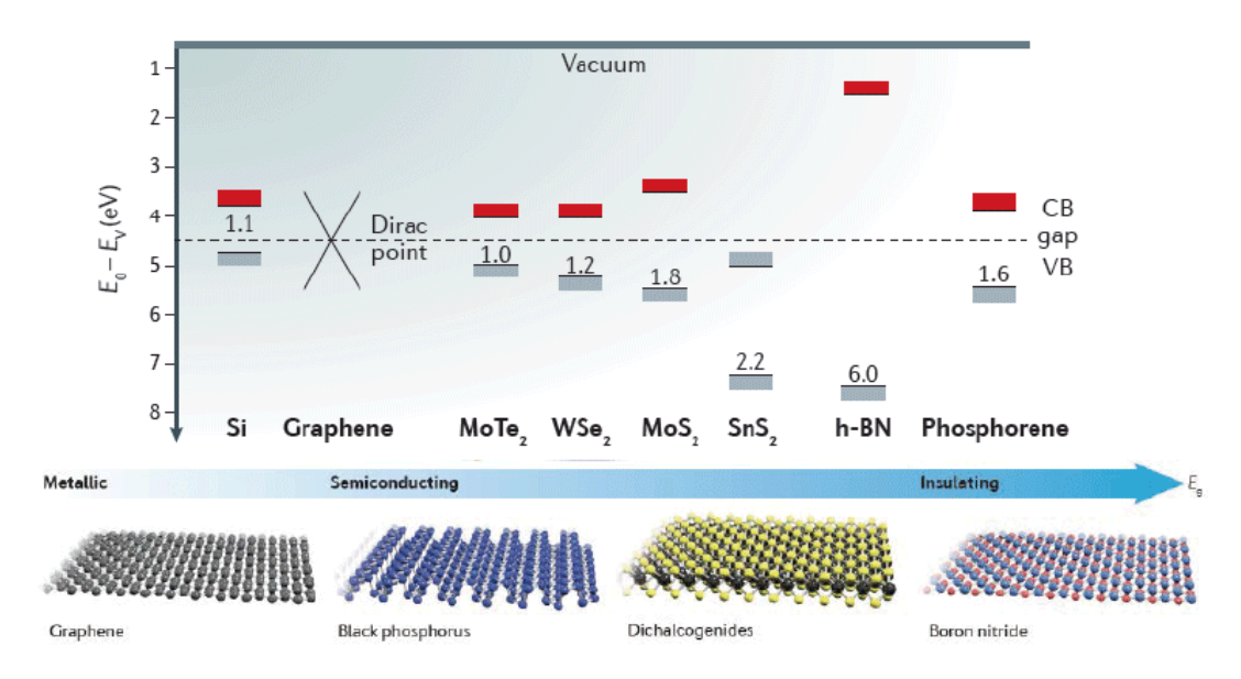 二位材料的生長(zhǎng)與表面裝飾