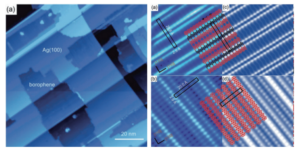 銀上的單層硼烯。