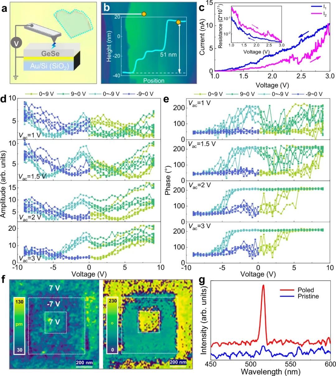 GeSe中的本征面外鐵電性和反鐵電-鐵電轉(zhuǎn)換