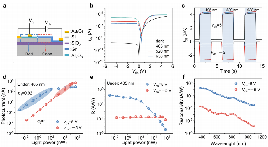 雙模光電探測(cè)器的光檢測(cè)性能