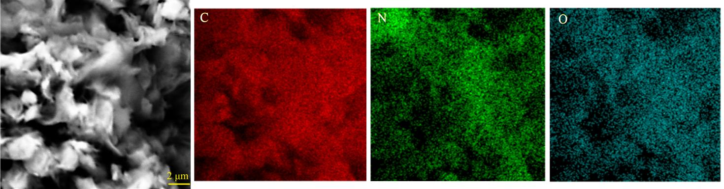 GO與三聚氰胺(1:2)混合體系在550℃熱處理后的微觀形貌及表面元素分布特征